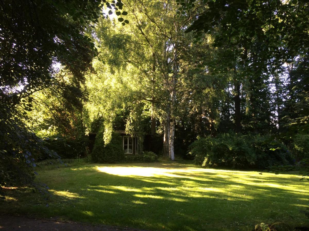 Villa Bergmann Münchberg Exteriör bild